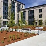 Landing Modern Apartment With Amazing Amenities
